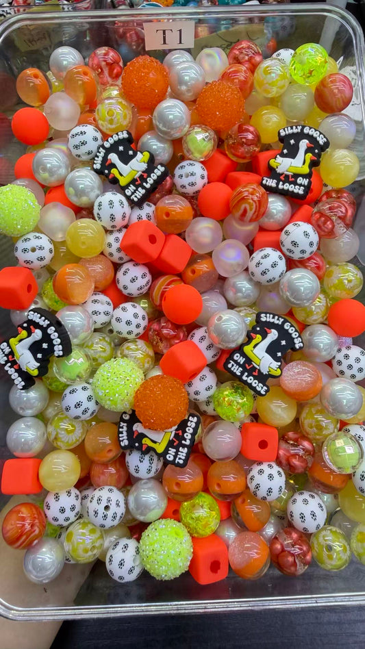 7.26 FOCAL MIX BEADS:T1(silly goose)