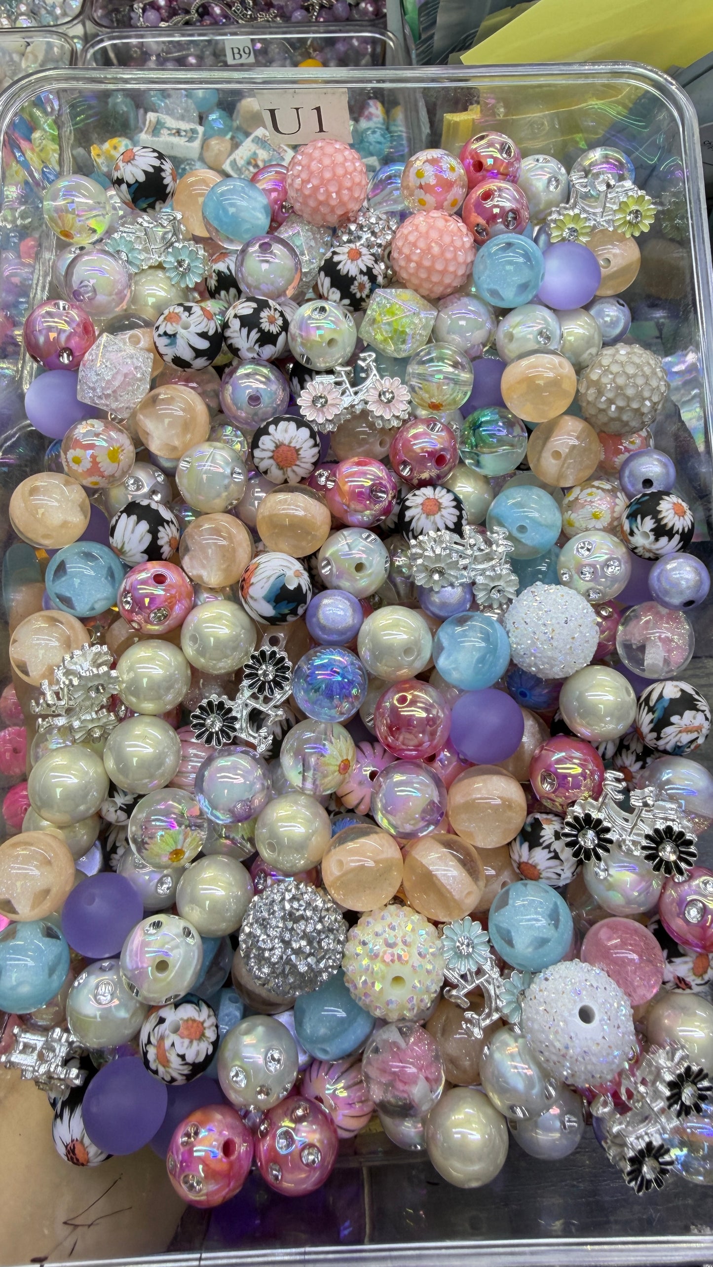 9.2 FANCY MIX BEADS:F3 ride for daisies