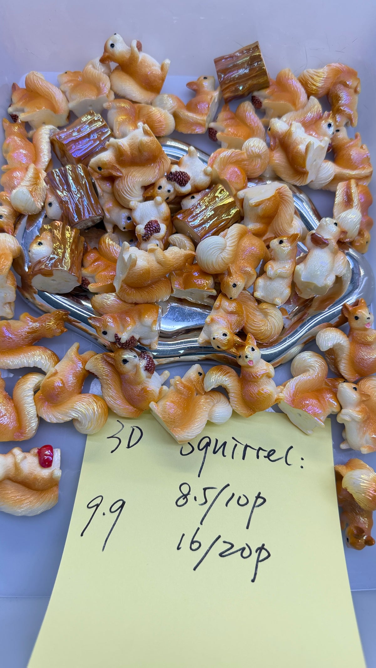 9.9 NEW-3D Squirrel